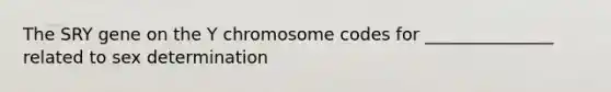 The SRY gene on the Y chromosome codes for _______________ related to sex determination