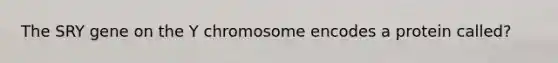 The SRY gene on the Y chromosome encodes a protein called?