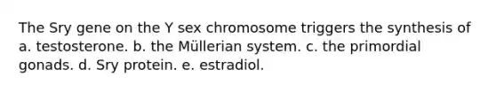 The Sry gene on the Y sex chromosome triggers the synthesis of a. testosterone. b. the Müllerian system. c. the primordial gonads. d. Sry protein. e. estradiol.