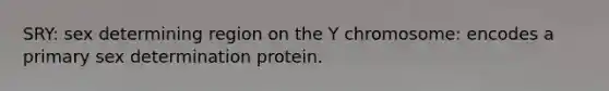 SRY: sex determining region on the Y chromosome: encodes a primary sex determination protein.