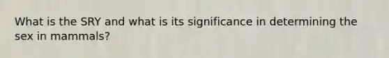 What is the SRY and what is its significance in determining the sex in mammals?