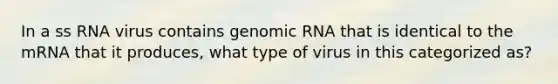 In a ss RNA virus contains genomic RNA that is identical to the mRNA that it produces, what type of virus in this categorized as?