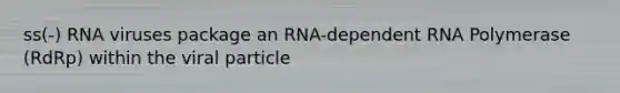 ss(-) RNA viruses package an RNA-dependent RNA Polymerase (RdRp) within the viral particle