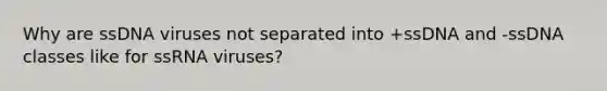 Why are ssDNA viruses not separated into +ssDNA and -ssDNA classes like for ssRNA viruses?