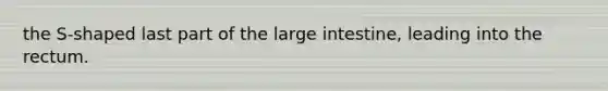 the S-shaped last part of the large intestine, leading into the rectum.