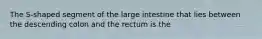 The S-shaped segment of the large intestine that lies between the descending colon and the rectum is the