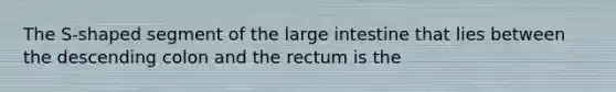 The S-shaped segment of the <a href='https://www.questionai.com/knowledge/kGQjby07OK-large-intestine' class='anchor-knowledge'>large intestine</a> that lies between the descending colon and the rectum is the