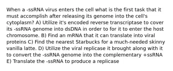 When a -ssRNA virus enters the cell what is the first task that it must accomplish after releasing its genome into the cell's cytoplasm? A) Utilize it's encoded reverse transcriptase to cover its -ssRNA genome into dsDNA in order to for it to enter the host chromosome. B) Find an mRNA that it can translate into viral proteins C) Find the nearest Starbucks for a much-needed skinny vanilla latte. D) Utilize the viral replicase it brought along with it to convert the -ssRNA genome into the complementary +ssRNA E) Translate the -ssRNA to produce a replicase