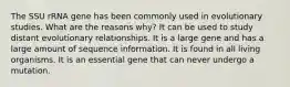 The SSU rRNA gene has been commonly used in evolutionary studies. What are the reasons why? It can be used to study distant evolutionary relationships. It is a large gene and has a large amount of sequence information. It is found in all living organisms. It is an essential gene that can never undergo a mutation.