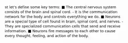 st let's define some key terms: ■ The central nervous system consists of the brain and spinal cord. - It is the communication network for the body and controls everything we do. ■ Neurons are a special type of cell found in brain, spinal cord, and nerves. - They are specialized communication cells that send and receive information. ■ Neurons fire messages to each other to cause every thought, feeling, and action of the body.