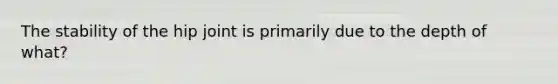 The stability of the hip joint is primarily due to the depth of what?