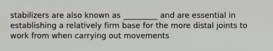 stabilizers are also known as _________ and are essential in establishing a relatively firm base for the more distal joints to work from when carrying out movements