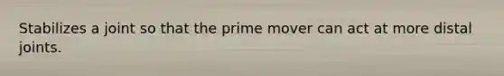 Stabilizes a joint so that the prime mover can act at more distal joints.
