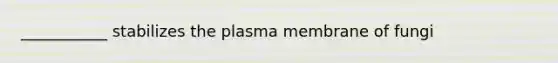 ___________ stabilizes the plasma membrane of fungi