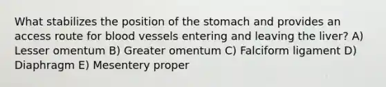 What stabilizes the position of the stomach and provides an access route for blood vessels entering and leaving the liver? A) Lesser omentum B) Greater omentum C) Falciform ligament D) Diaphragm E) Mesentery proper