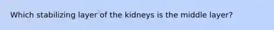 Which stabilizing layer of the kidneys is the middle layer?