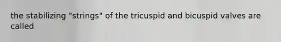 the stabilizing "strings" of the tricuspid and bicuspid valves are called