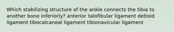 Which stabilizing structure of the ankle connects the tibia to another bone inferiorly? anterior talofibular ligament deltoid ligament tibocalcaneal ligament tibionavicular ligament