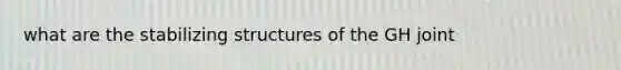 what are the stabilizing structures of the GH joint