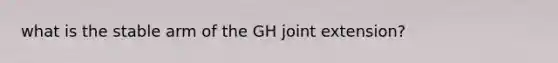 what is the stable arm of the GH joint extension?