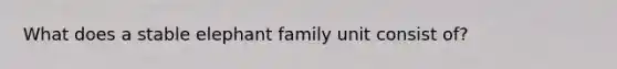 What does a stable elephant family unit consist of?