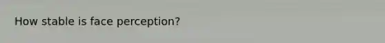 How stable is face perception?