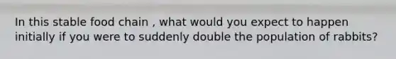 In this stable food chain , what would you expect to happen initially if you were to suddenly double the population of rabbits?