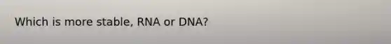 Which is more stable, RNA or DNA?