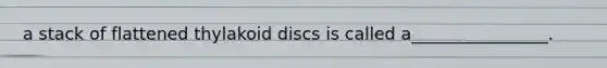 a stack of flattened thylakoid discs is called a________________.