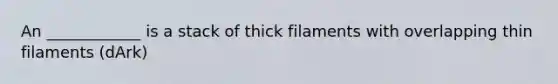 An ____________ is a stack of thick filaments with overlapping thin filaments (dArk)