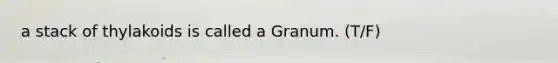 a stack of thylakoids is called a Granum. (T/F)