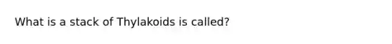 What is a stack of Thylakoids is called?