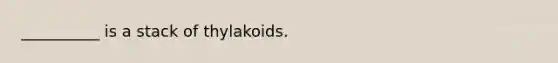 __________ is a stack of thylakoids.