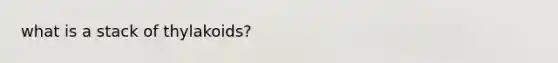 what is a stack of thylakoids?