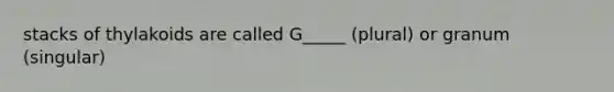 stacks of thylakoids are called G_____ (plural) or granum (singular)