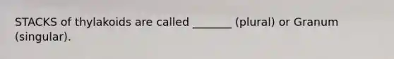 STACKS of thylakoids are called _______ (plural) or Granum (singular).