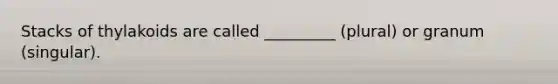Stacks of thylakoids are called _________ (plural) or granum (singular).