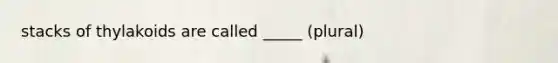 stacks of thylakoids are called _____ (plural)