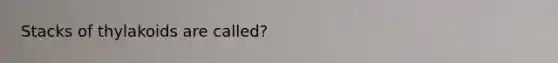 Stacks of thylakoids are called?