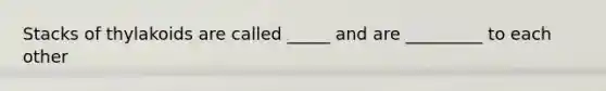 Stacks of thylakoids are called _____ and are _________ to each other
