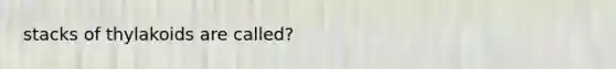 stacks of thylakoids are called?