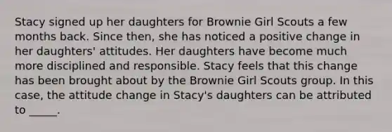 Stacy signed up her daughters for Brownie Girl Scouts a few months back. Since then, she has noticed a positive change in her daughters' attitudes. Her daughters have become much more disciplined and responsible. Stacy feels that this change has been brought about by the Brownie Girl Scouts group. In this case, the attitude change in Stacy's daughters can be attributed to _____.