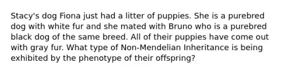 Stacy's dog Fiona just had a litter of puppies. She is a purebred dog with white fur and she mated with Bruno who is a purebred black dog of the same breed. All of their puppies have come out with gray fur. What type of Non-Mendelian Inheritance is being exhibited by the phenotype of their offspring?