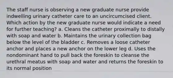 The staff nurse is observing a new graduate nurse provide indwelling urinary catheter care to an uncircumcised client. Which action by the new graduate nurse would indicate a need for further teaching? a. Cleans the catheter proximally to distally with soap and water b. Maintains the urinary collection bag below the level of the bladder c. Removes a loose catheter anchor and places a new anchor on the lower leg d. Uses the nondominant hand to pull back the foreskin to cleanse the urethral meatus with soap and water and returns the foreskin to its normal position