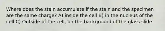 Where does the stain accumulate if the stain and the specimen are the same charge? A) inside the cell B) in the nucleus of the cell C) Outside of the cell, on the background of the glass slide