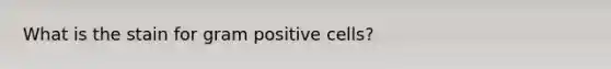 What is the stain for gram positive cells?