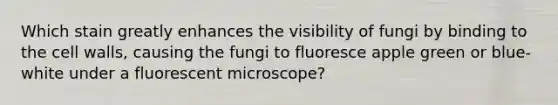 Which stain greatly enhances the visibility of fungi by binding to the cell walls, causing the fungi to fluoresce apple green or blue-white under a fluorescent microscope?