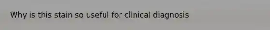 Why is this stain so useful for clinical diagnosis