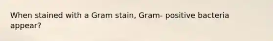 When stained with a Gram stain, Gram- positive bacteria appear?