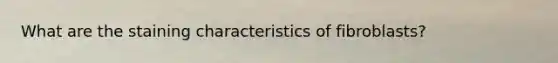 What are the staining characteristics of fibroblasts?